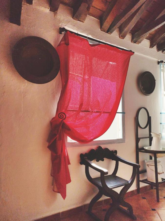 مالقة Hostel Patio 19 المظهر الخارجي الصورة