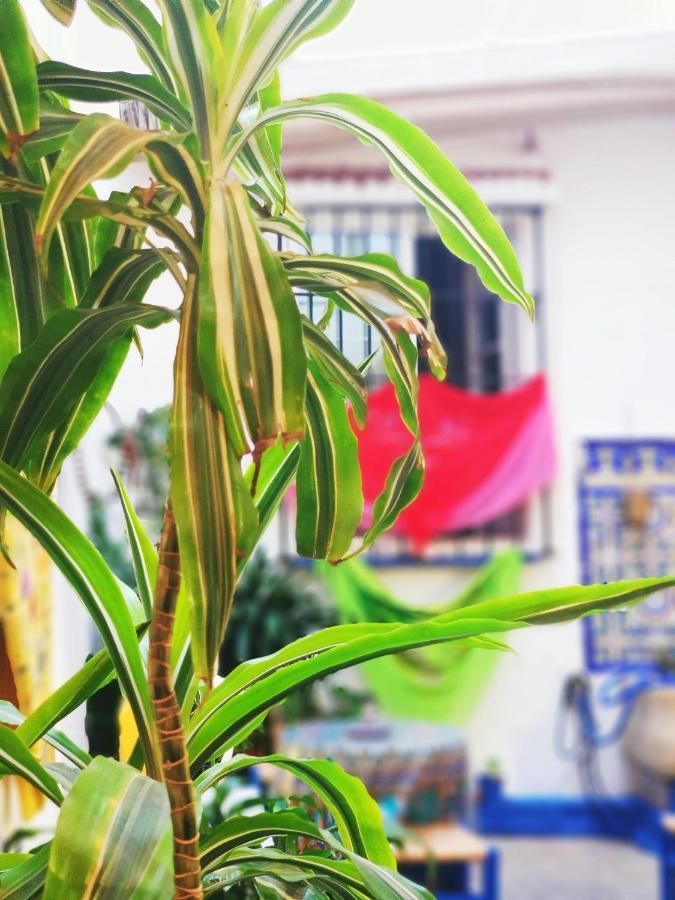 مالقة Hostel Patio 19 المظهر الخارجي الصورة